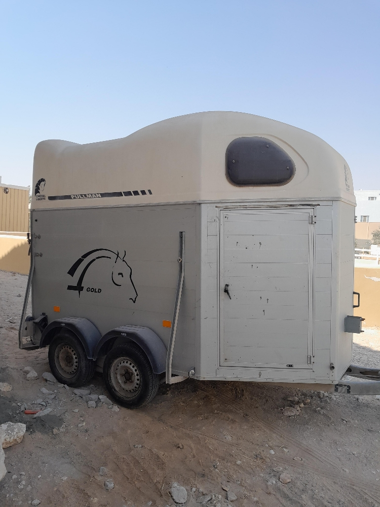 نقوم بنقل الخيول - 1