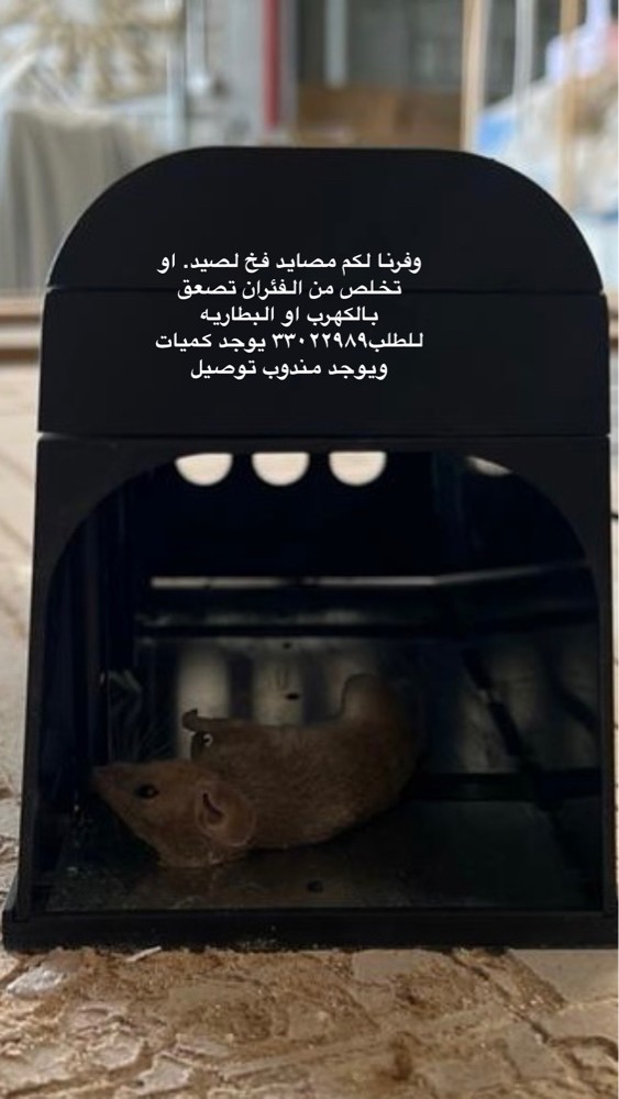 Mouse hunting machine for sale - 2