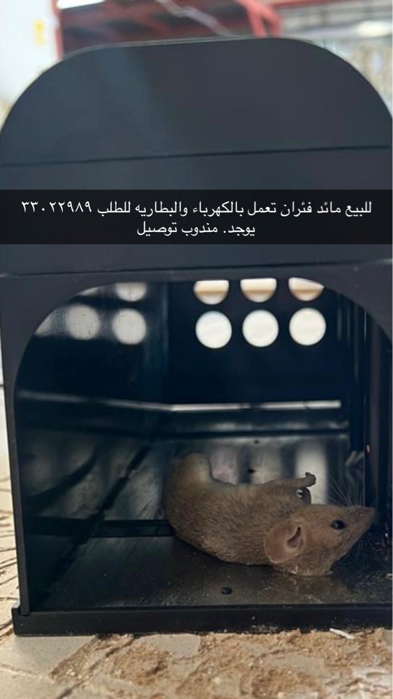 Mouse hunting machine for sale - 3