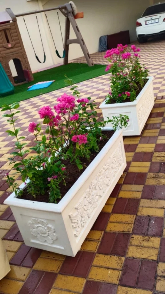 زراعة وتنسيق الحدائق - 3
