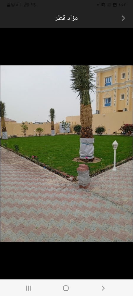 قص الحديق والزراعة الورد - 5