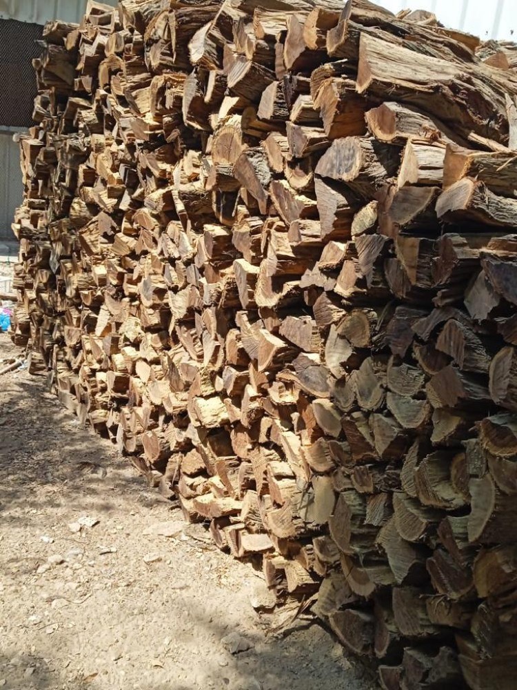 للبيع حطب  - 1