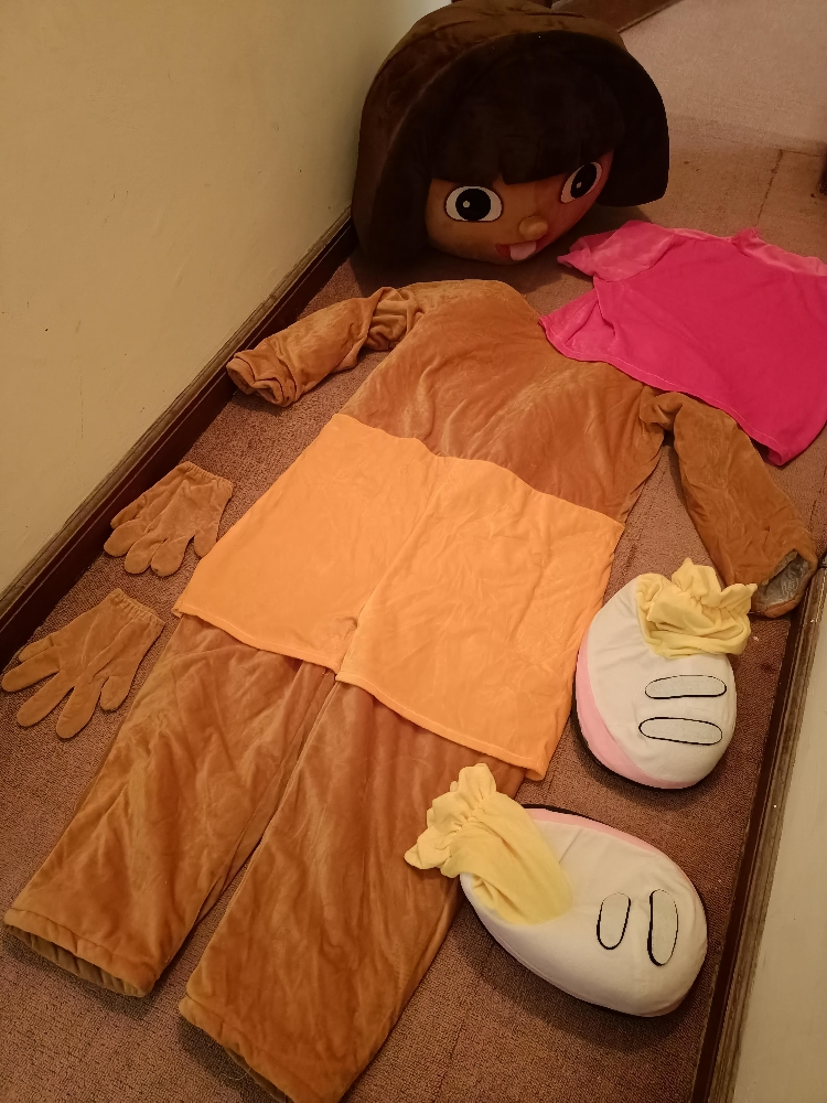 mascot costume - 4