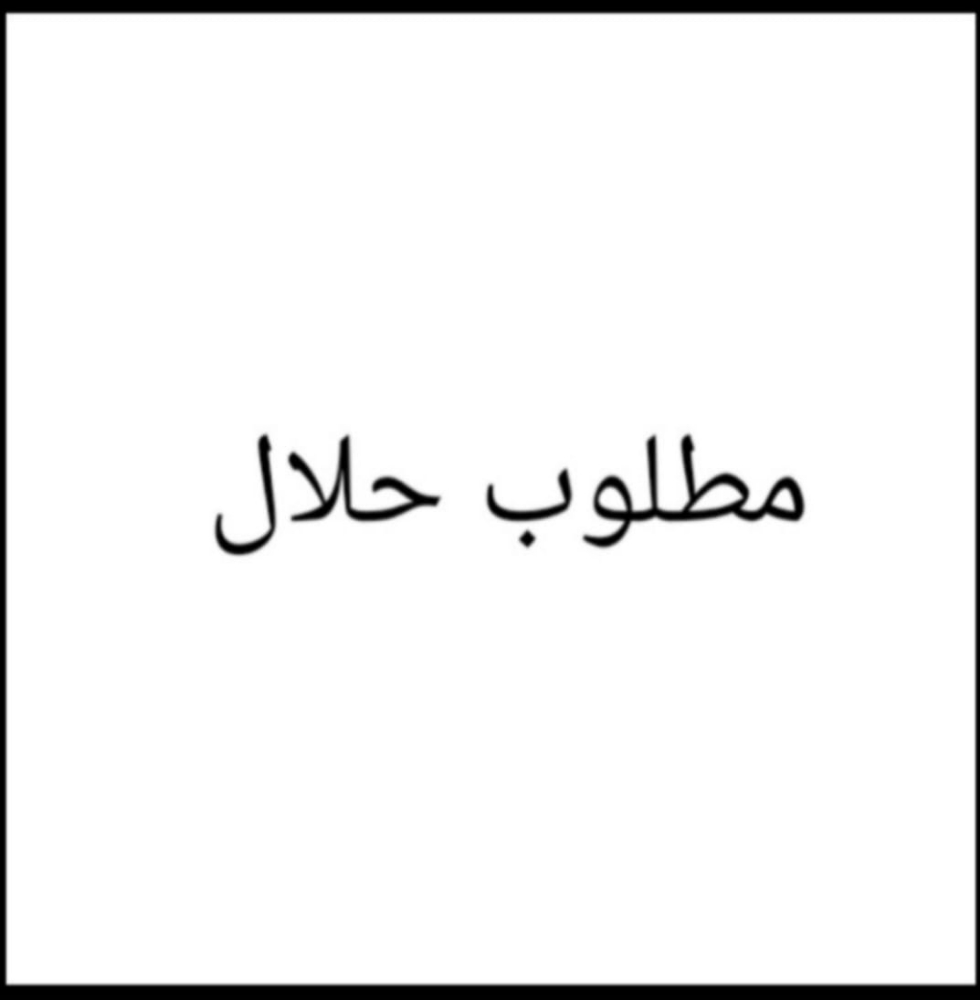 نشتري جميع الإبل - 1