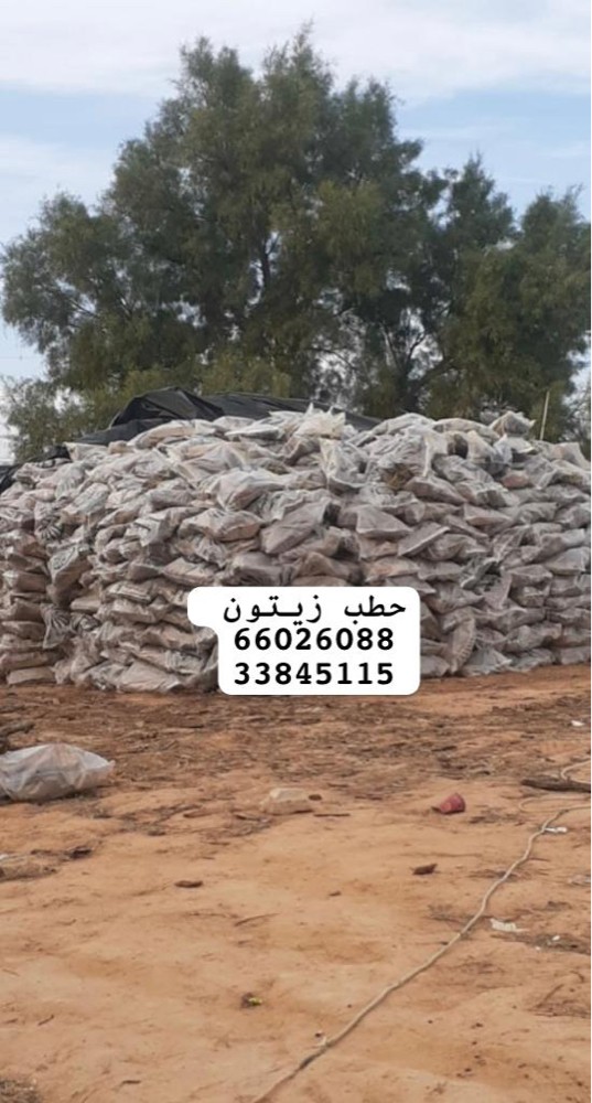 حطب زيتون فاخر - 3