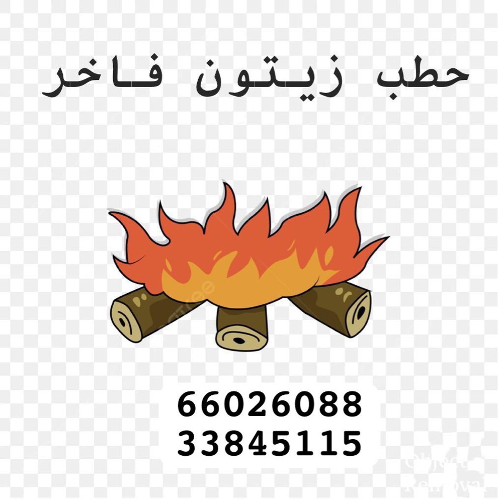 حطب زيتون فاخر - 1