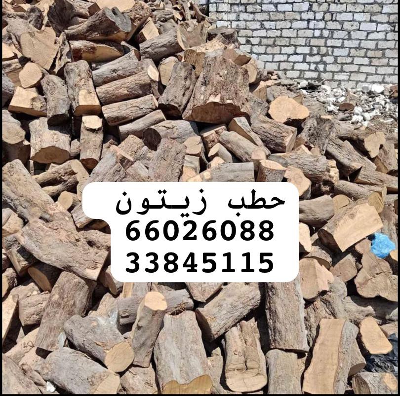 حطب زيتون فاخر - 2