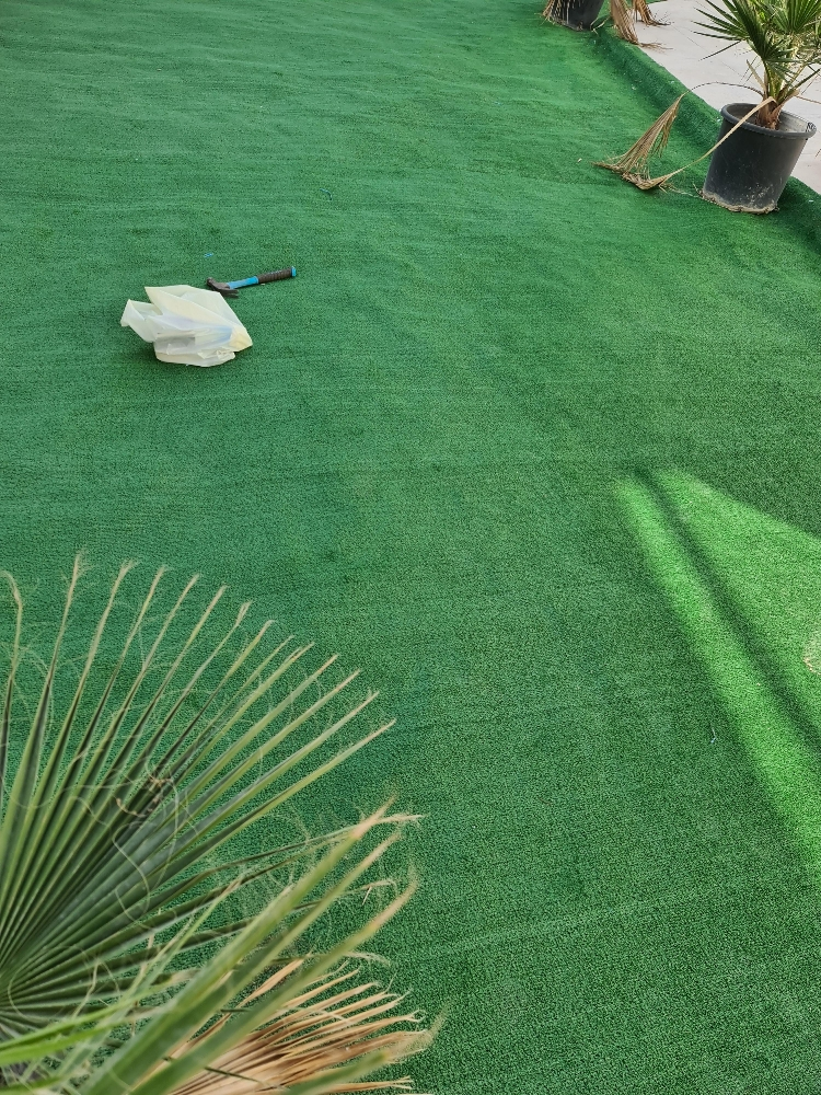 Garden Artificial Grass - 7