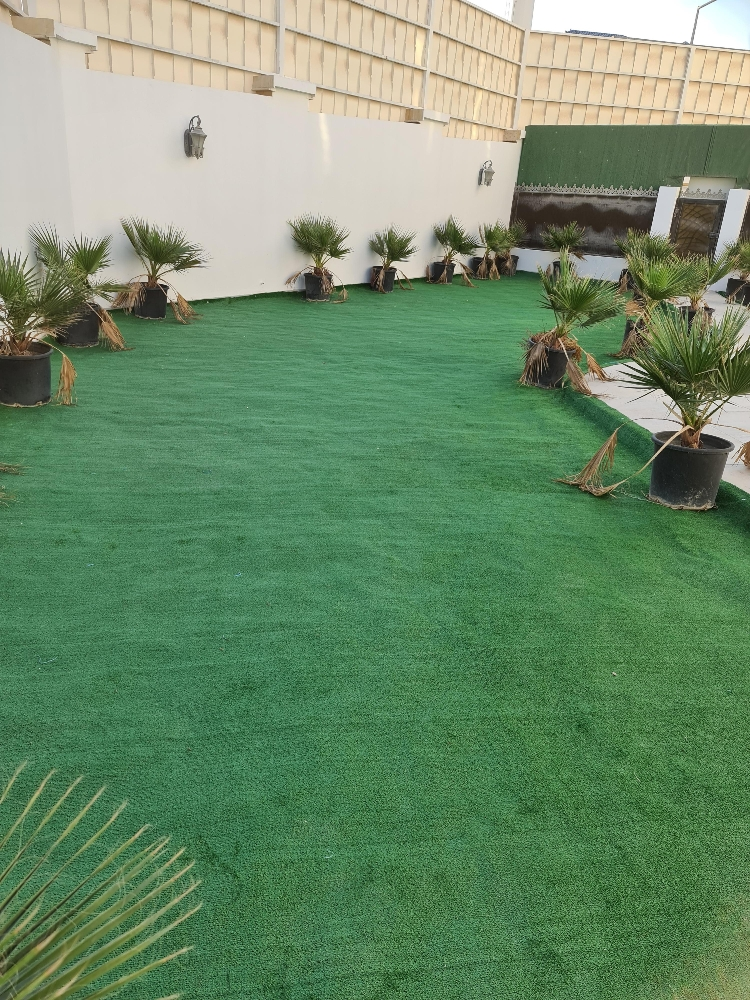 Garden Artificial Grass - 3