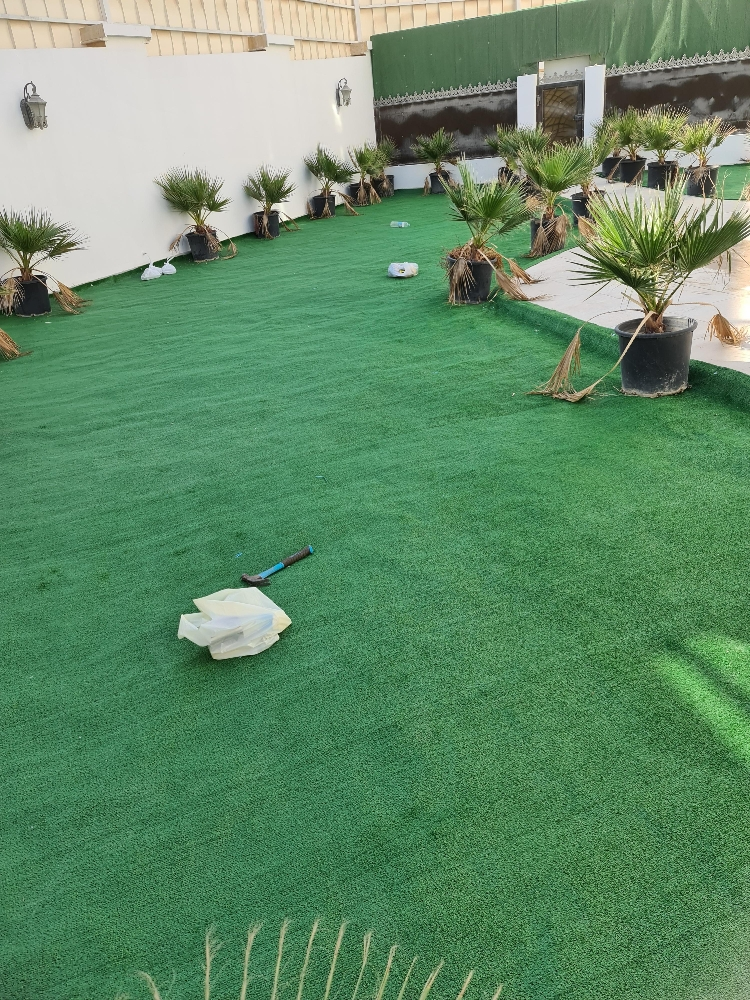 Garden Artificial Grass - 2