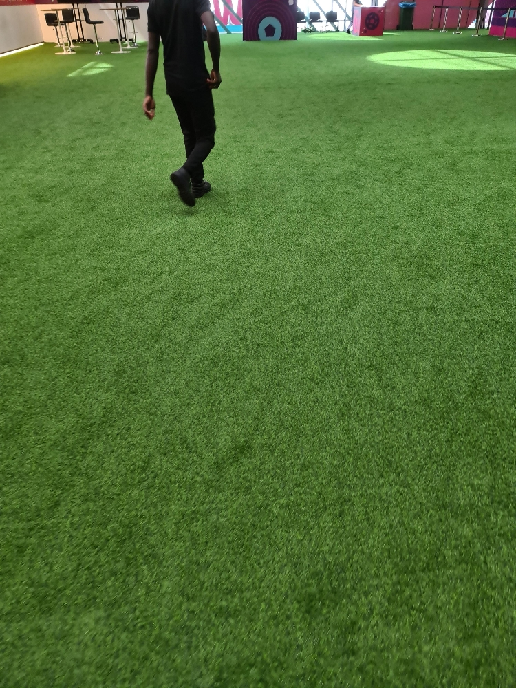 Garden Artificial Grass - 6