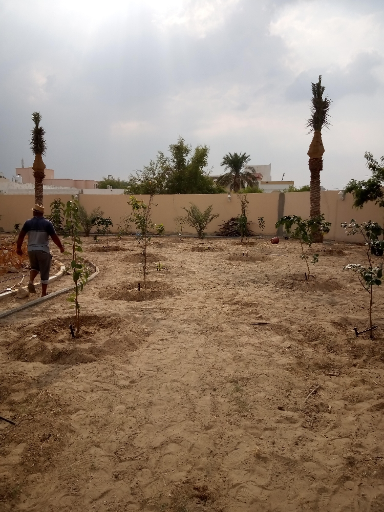 شبكات الري الحديث والزراعة - 4
