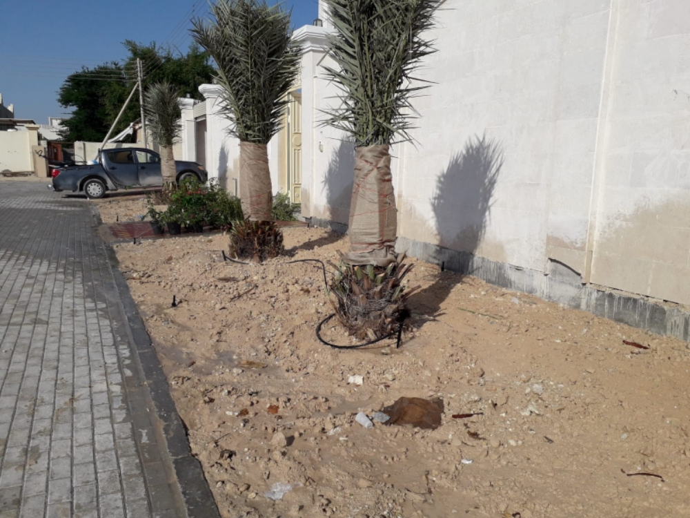 شبكات الري الحديث والزراعة - 3