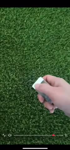 sports flash - 1