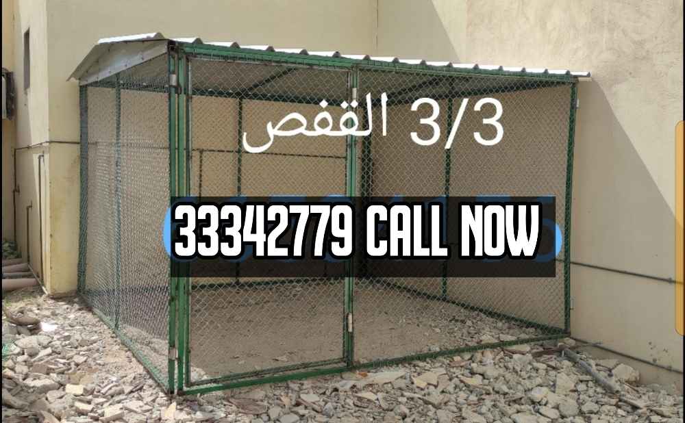 حمامة قفص جديدة - 3