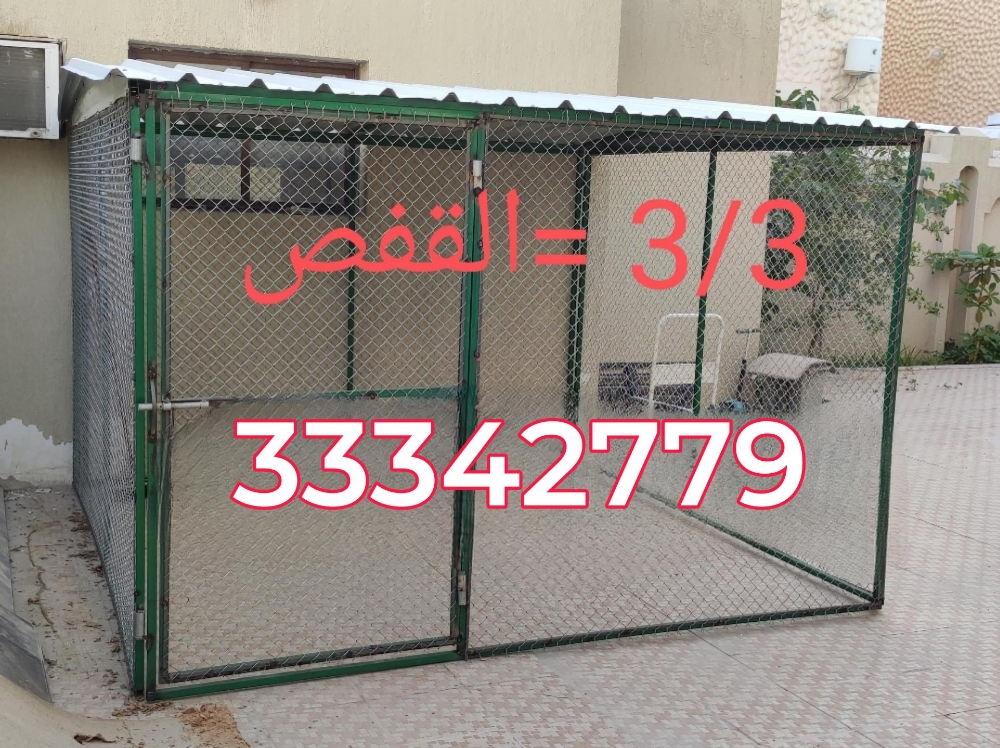 حمامة قفص جديدة - 2