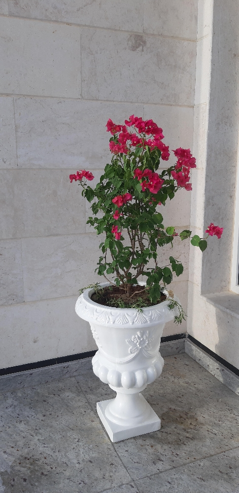 احواض زراعة - 11