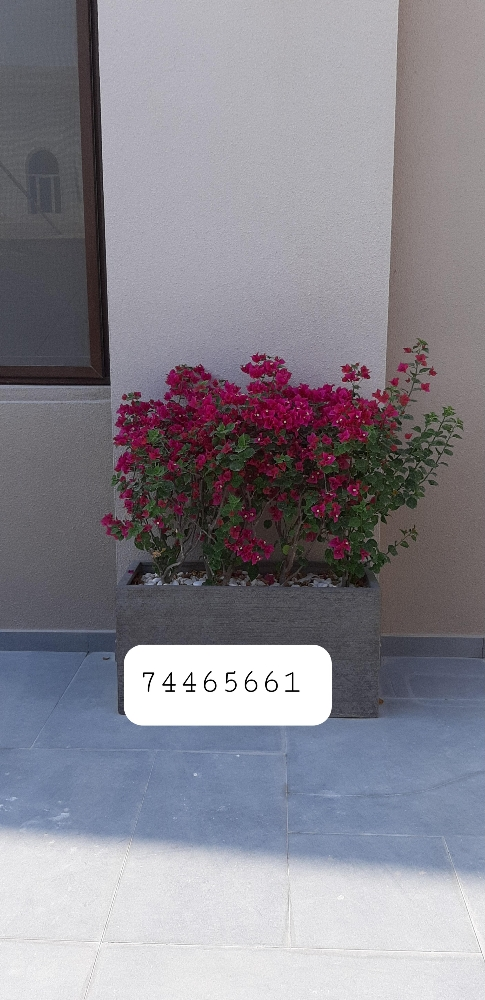 احواض زراعة - 10
