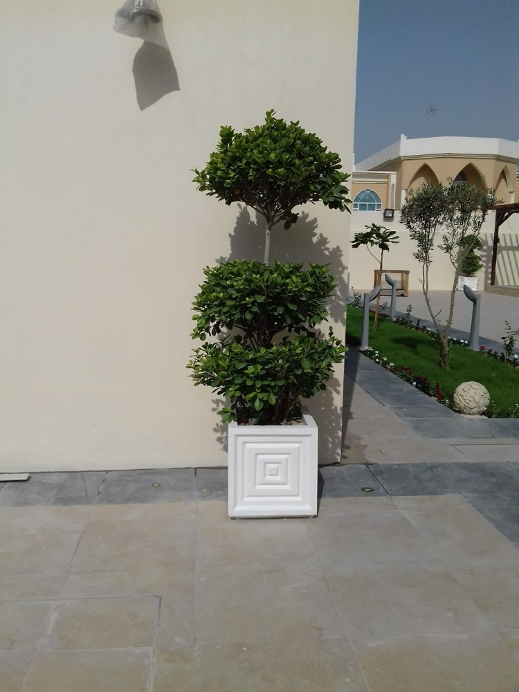 احواض زراعة - 12
