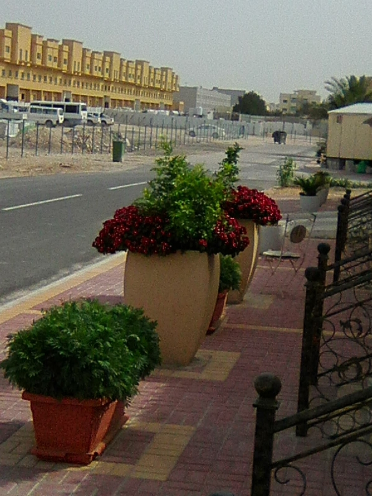 احواض زراعة - 14