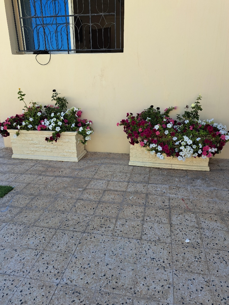 احواض زراعة - 4