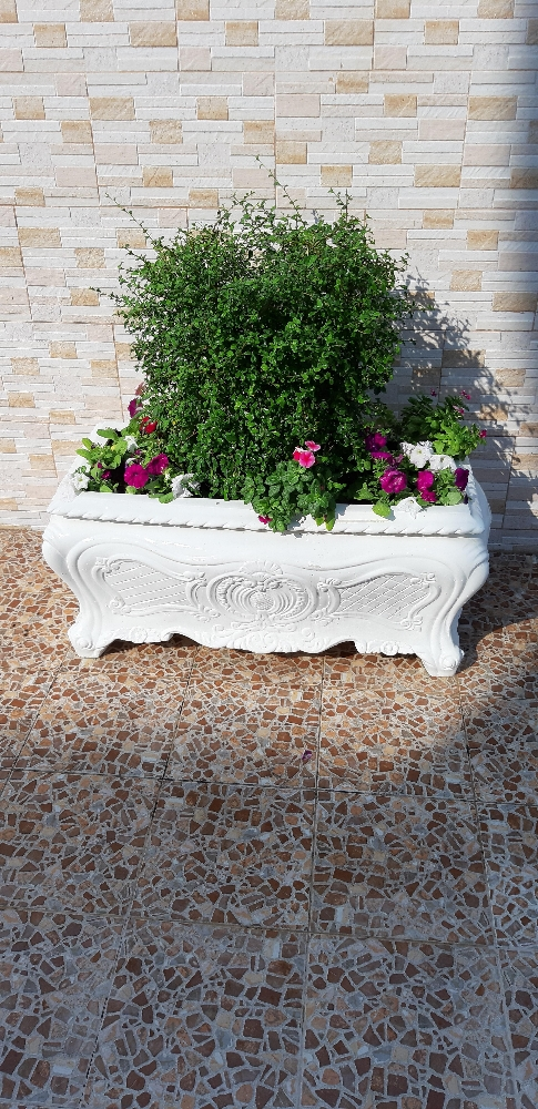 احواض زراعة - 7