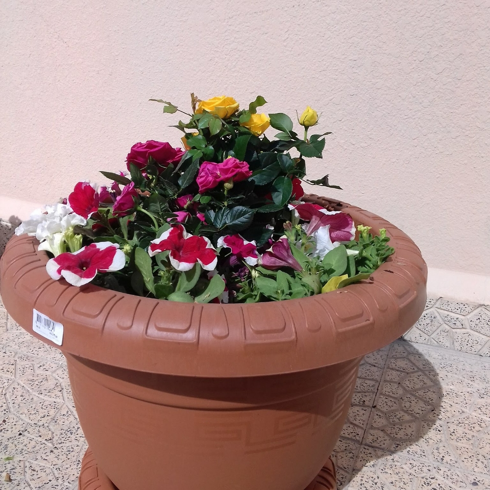 احواض زراعة - 6