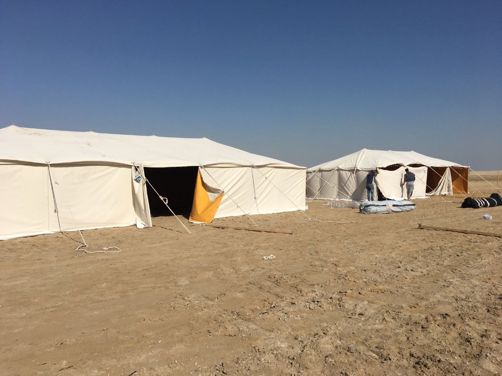 الهاشم - 2