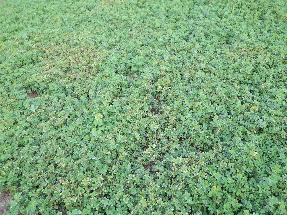 زراعة مزارع - 5