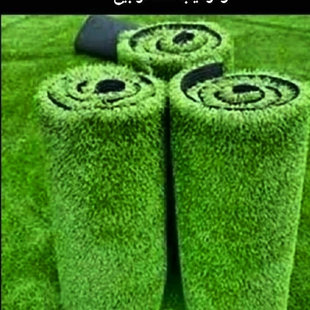 جديد - 3
