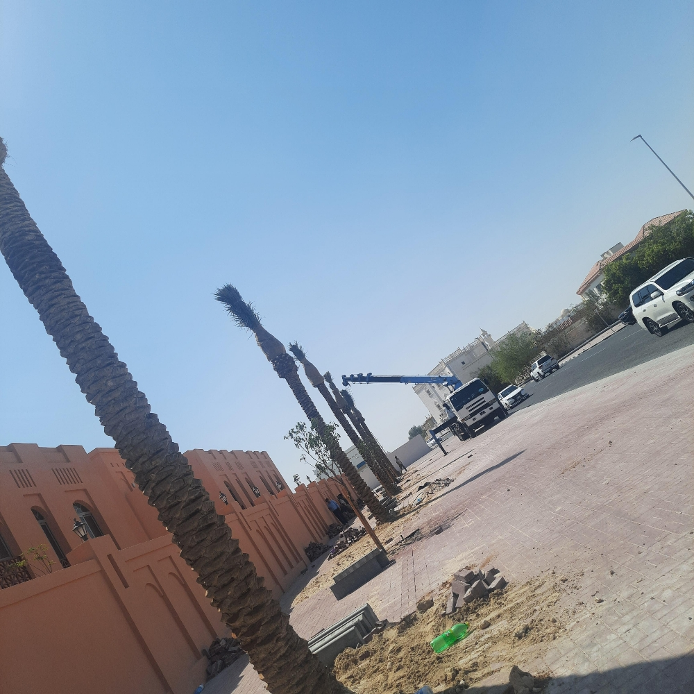 نخل للزراعة والتوريد - 3