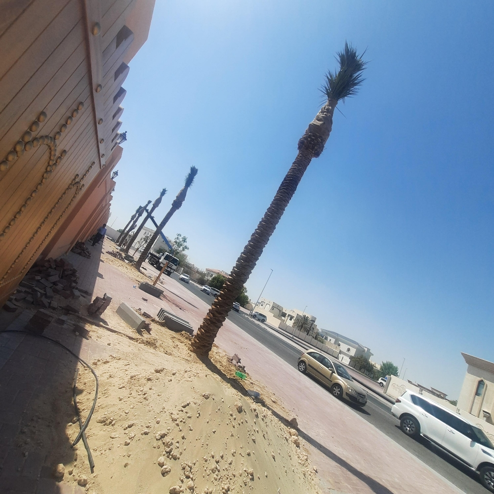 نخل للزراعة والتوريد - 2
