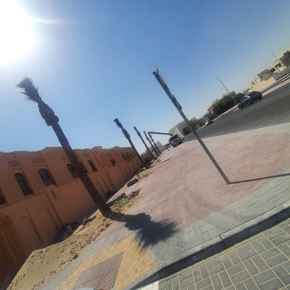 نخل للزراعة والتوريد - 4