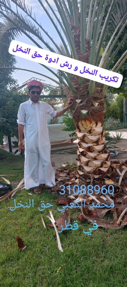 زراع و عناية بل نخيل - 3