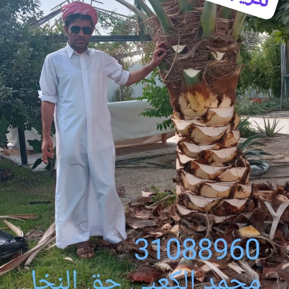زراع و عناية بل نخيل - 9