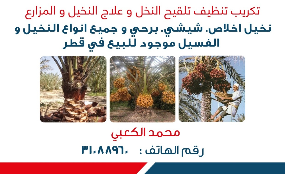 زراع و عناية بل نخيل - 11