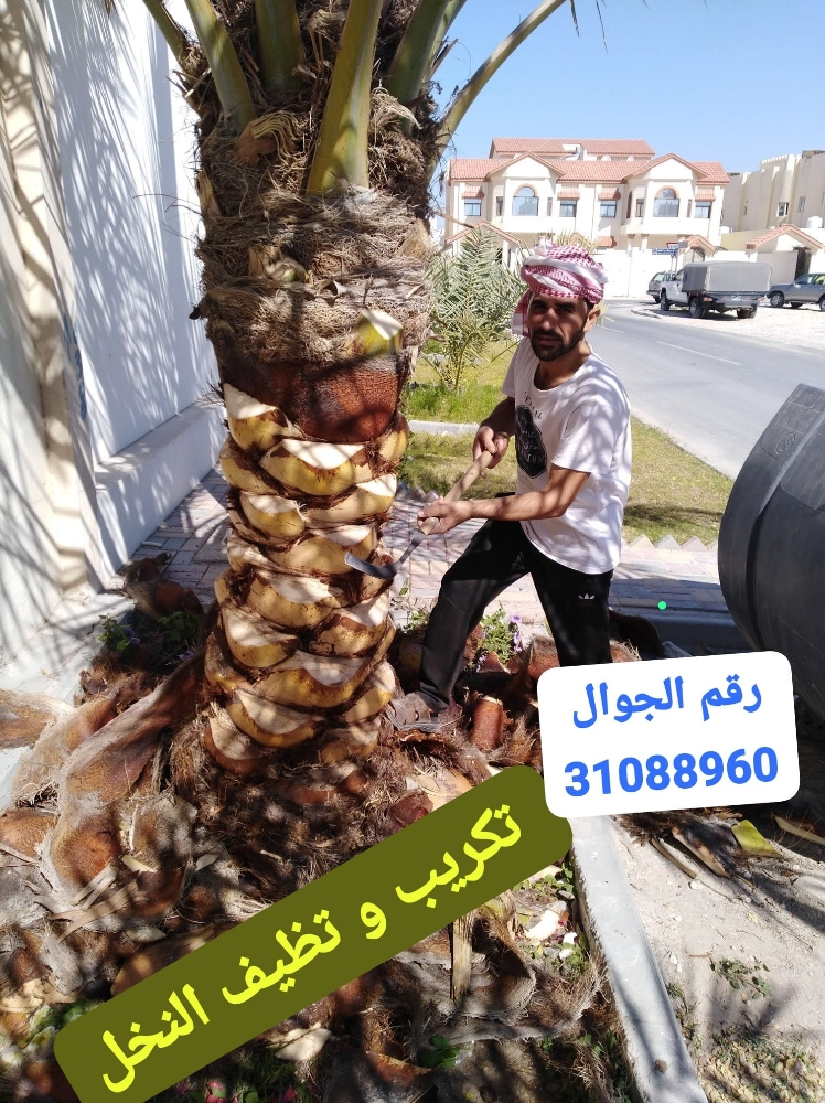 زراع و عناية بل نخيل - 4