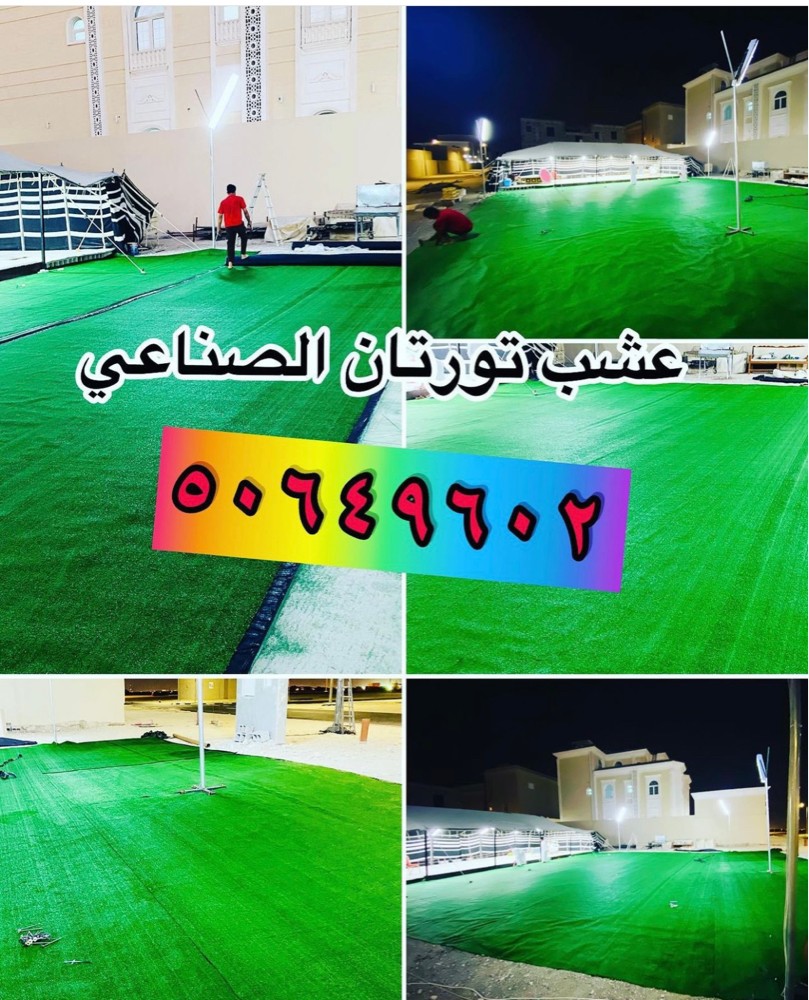 الترتان الأخضر  عشب اخضر موكيت - 3