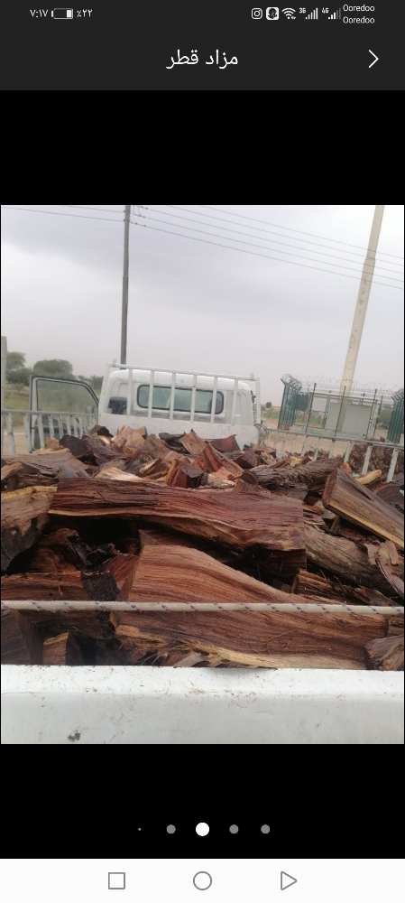 حطب سدر وقرض ناشف - 2