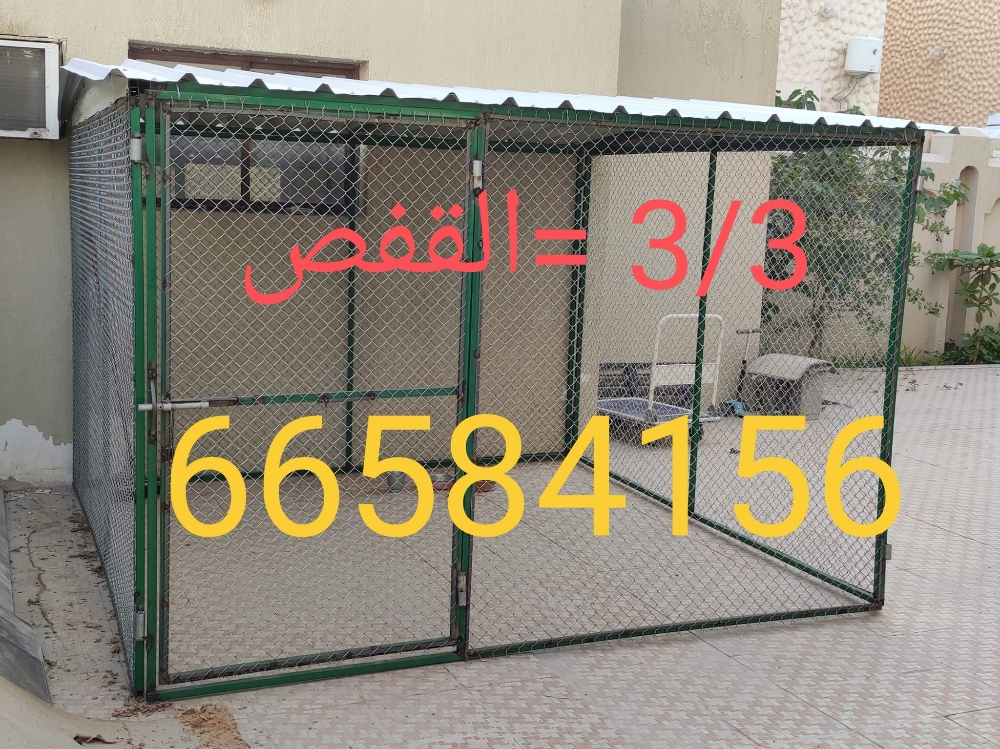 3/3=قفص جديد - 3