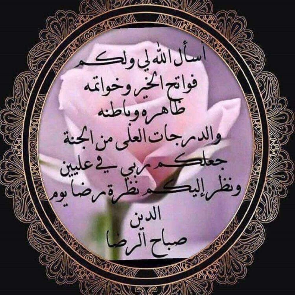 تخليص جمركي جميع منافذ الدوله الج - 1