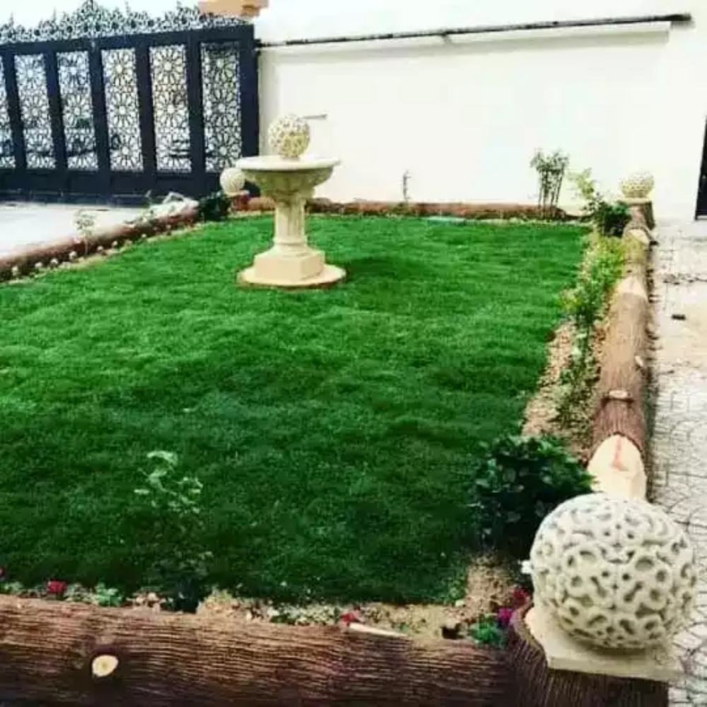 Garden decor and agriculture - 3