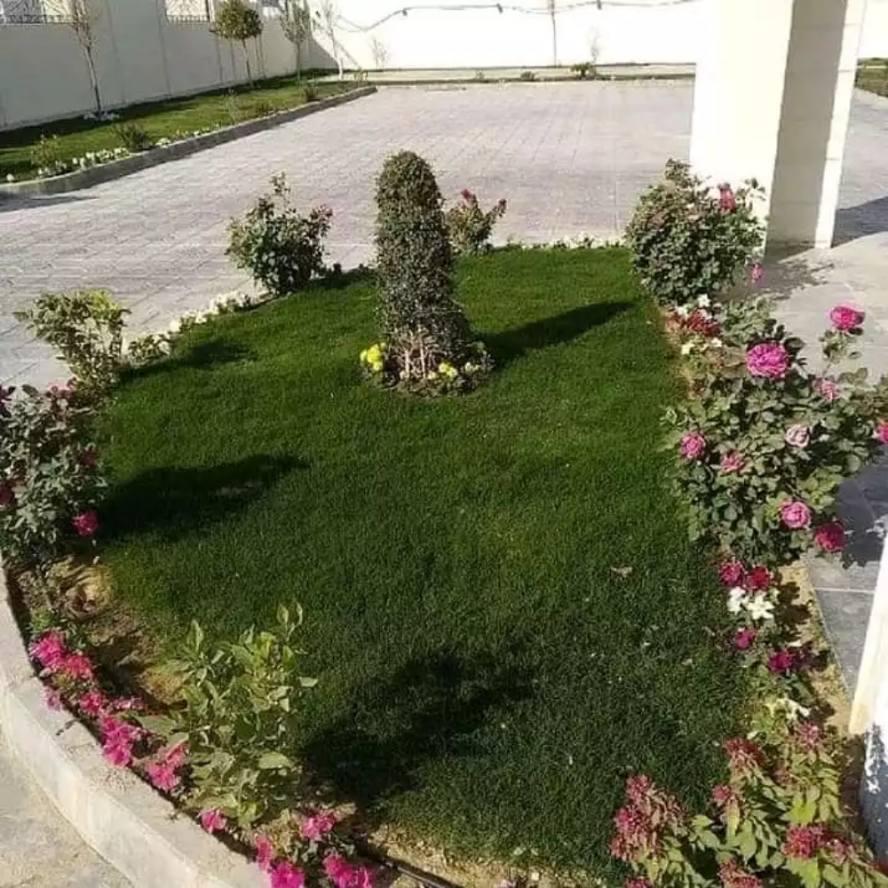 Garden decor and agriculture - 6