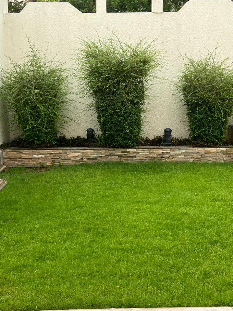 Garden decor and agriculture - 9
