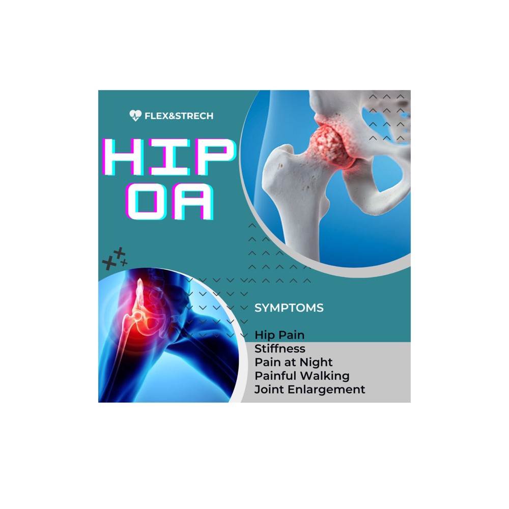Physiotherapy - 4