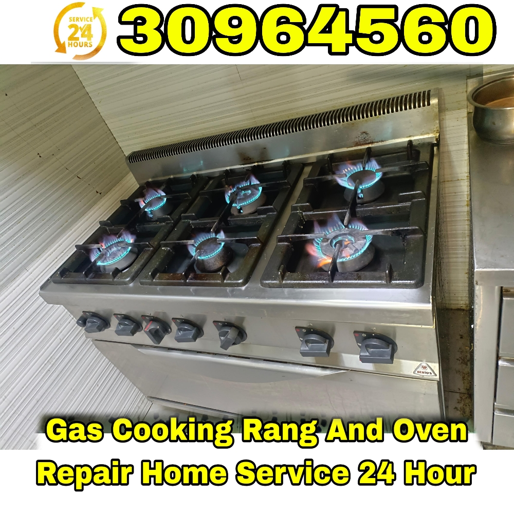 Gas Oven Repair And Service - 1