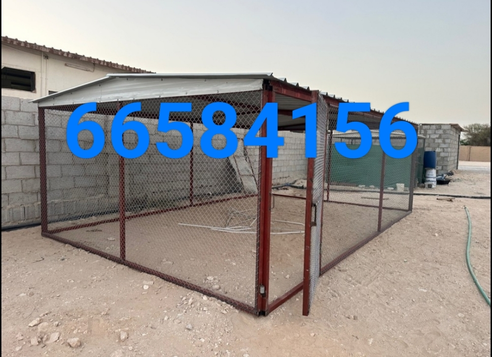 6/4=القفص - 2