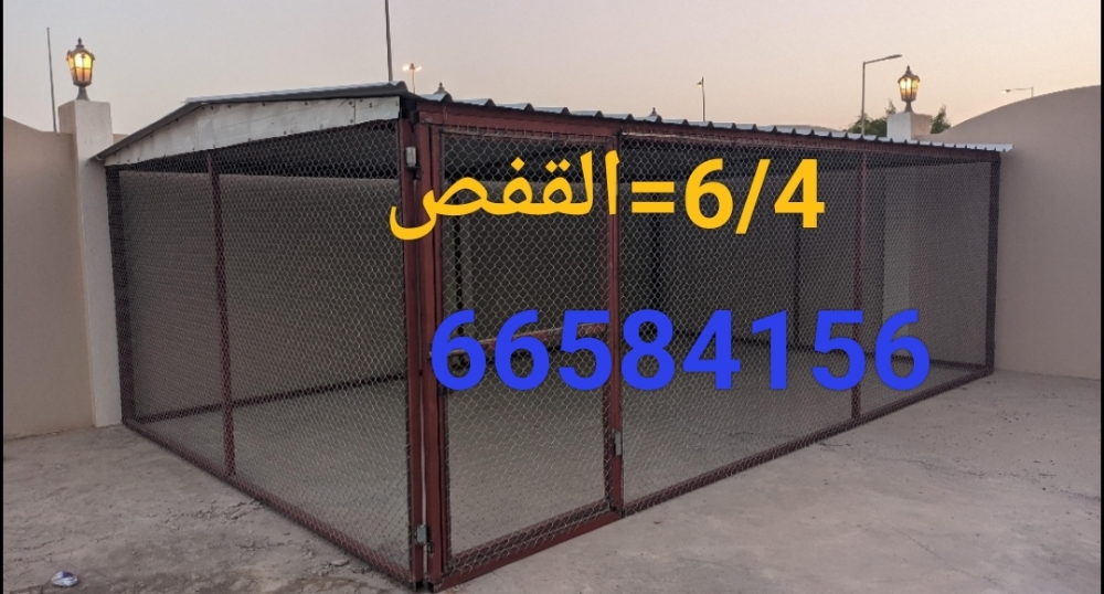 6/4=القفص - 1