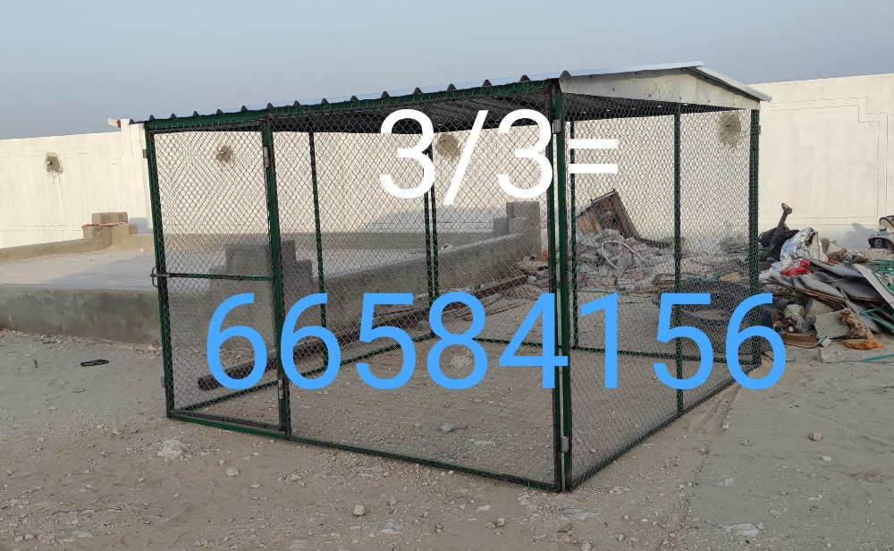 3/3=القفص - 1