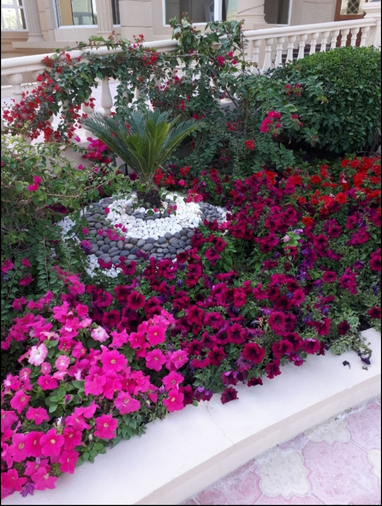زراعة وديكور - 1